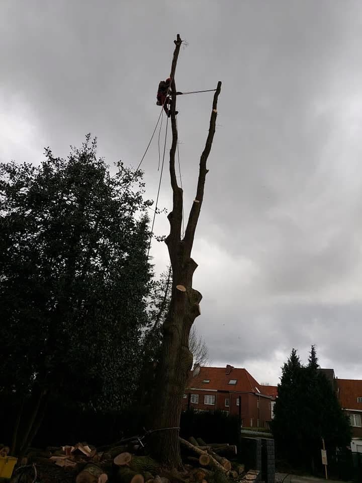 Réalisation 10 - NICOJARDINS